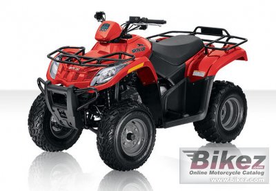 2010 Arctic Cat 300 photo